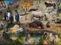 martin-puzzle_kleiner