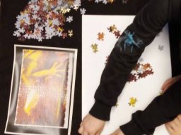 Los geht der Puzzle-Spaß!